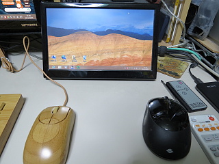 EPSON Endeavor SV110hモニター