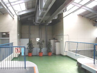 �I�_�̐A�؁i1999�N�j