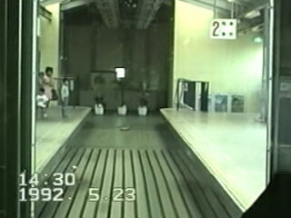 �I�_�̐A�؁i1992�N�j