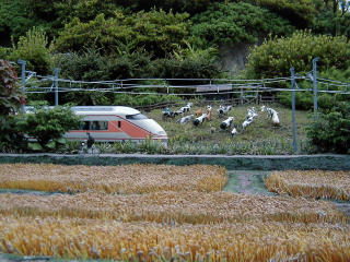 �X�y�[�V�A