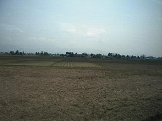 �c��ΐ��̕��i