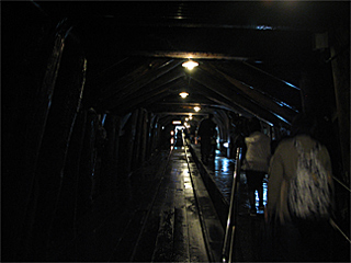 �B���g���l��