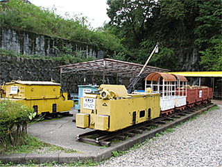 ��������̃g���b�R�ԗ�