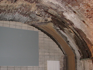 ���������w��\