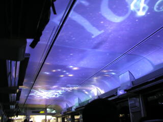 �V��ɉf���o���ꂽ�f��