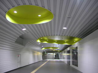 �V�����w