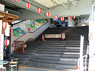 ���쌴���Ì��w�ҍ����ւ̊K�i