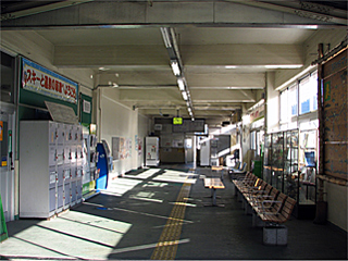 ���쌴���Ì��w�̑ҍ���