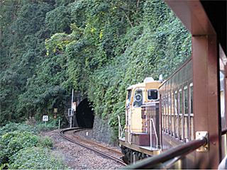 �u���c�̂�����[���v