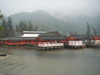 �����_��