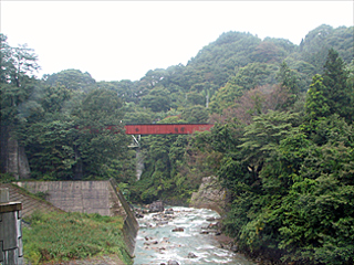 �����q���̓S��