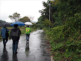 �����q���p����