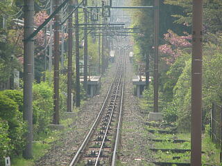 �O�����i