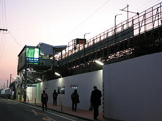 �V���O���w