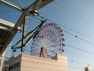 �V�����z�[�����猩���ϗ���