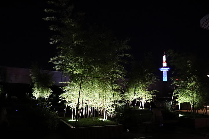 葉っぴいてらす