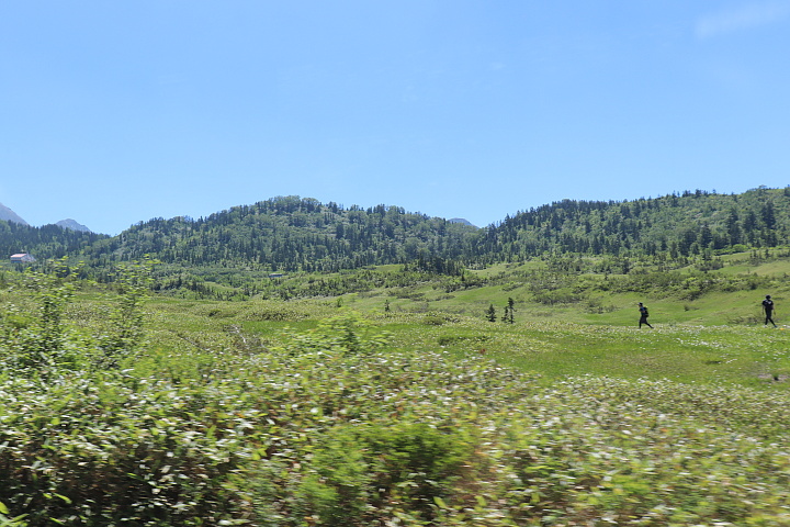 遊歩道を歩く人