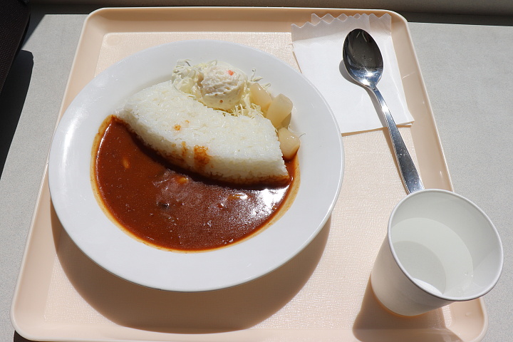 アーチダムカレー
