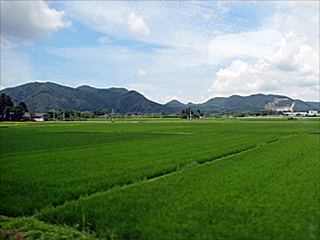 �c��ΐ��̎ԑ�