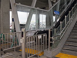 ����`�w�̒Ôg�W��