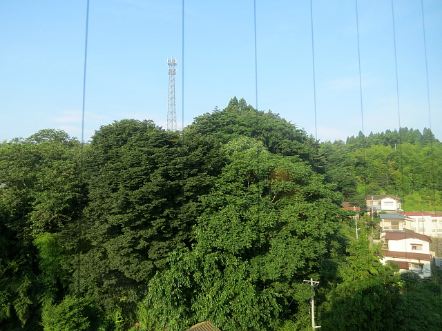 ������̌i�F