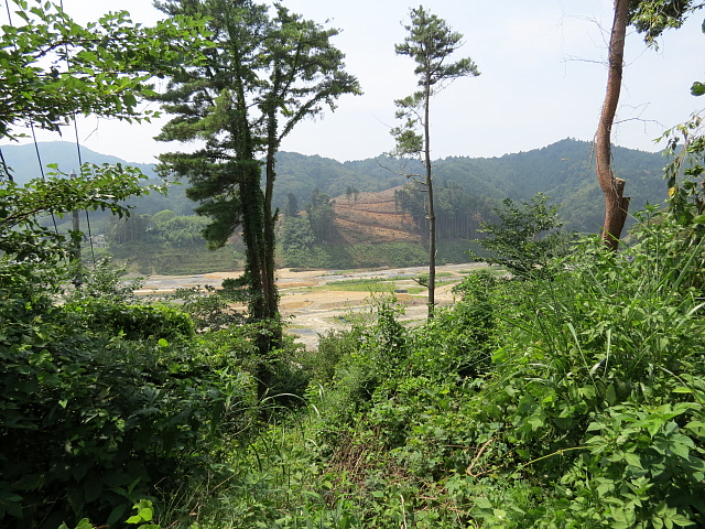 ���䂩�猩���낵���Ƃ���