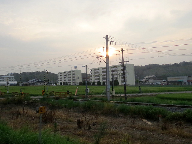 ��ΐ��̉��𑖂�