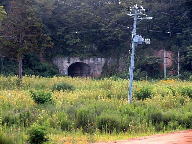 �x�~���̃g���l��