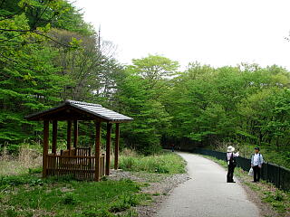 �O�X�Εt��