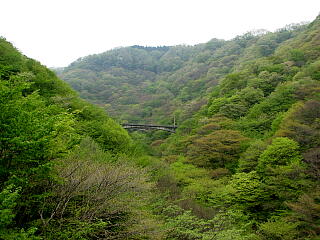 �߂��ˋ��̖k��