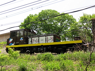 �g���b�R��ԁu�V�F���p����v�V�^�@�֎�