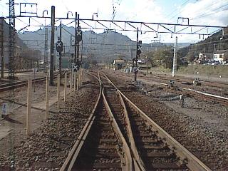 �p���ɂȂ����M�z�{��