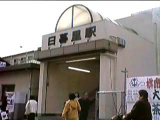 ���闢�w����