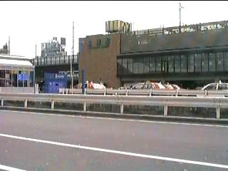 �V���w�G�X���i�������j